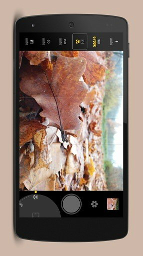 �ֶ����(Manual Camera)����